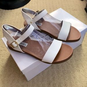 Steve Madden Dina Sandals